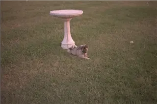 small_9400 0652 ca princeton etcImg0050.webp